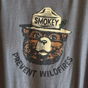 The Landmark project SMOKEY THE BEAR vintage look GRAPHIC TEE size large